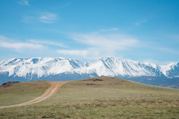 Курайская степь