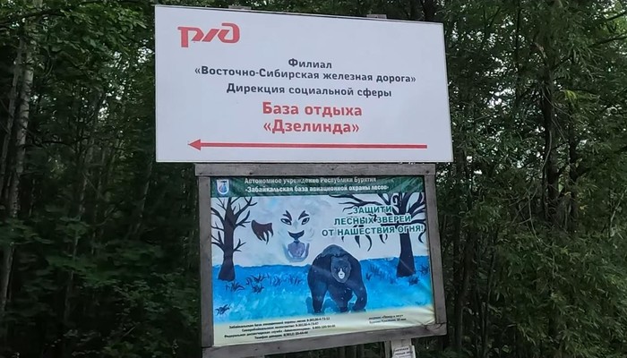 Горячие источники Дзелинда