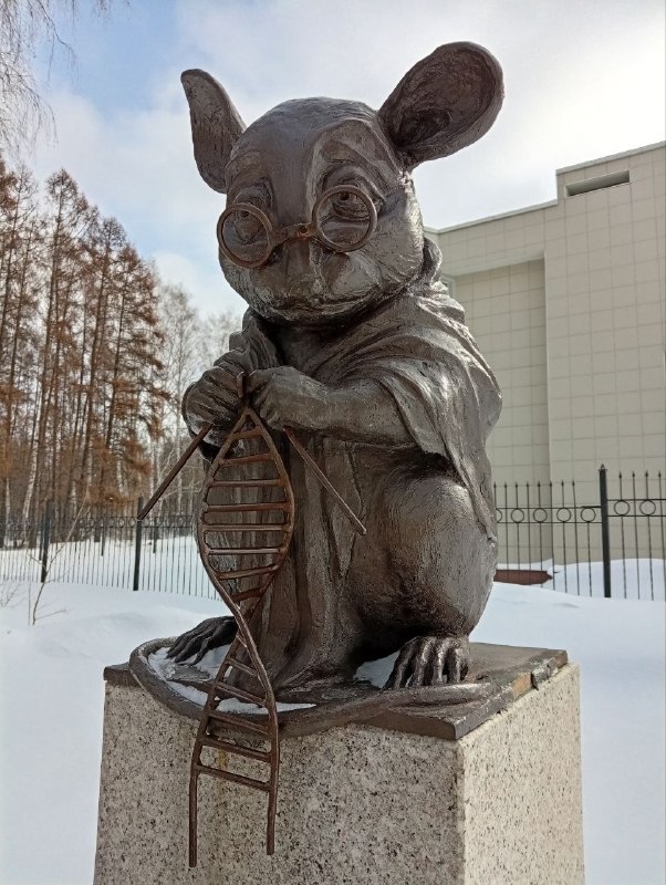 академгородок